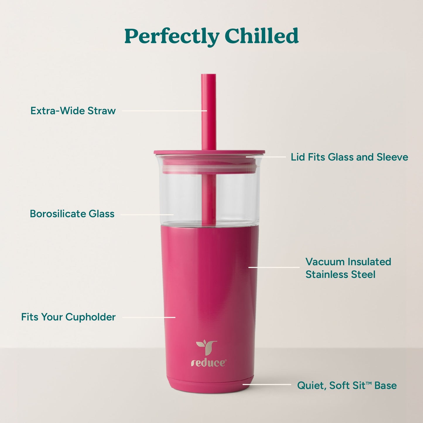 aspen-20-oz-c0 Aspen_Dragonfruit_PDP_Infographic2.jpg