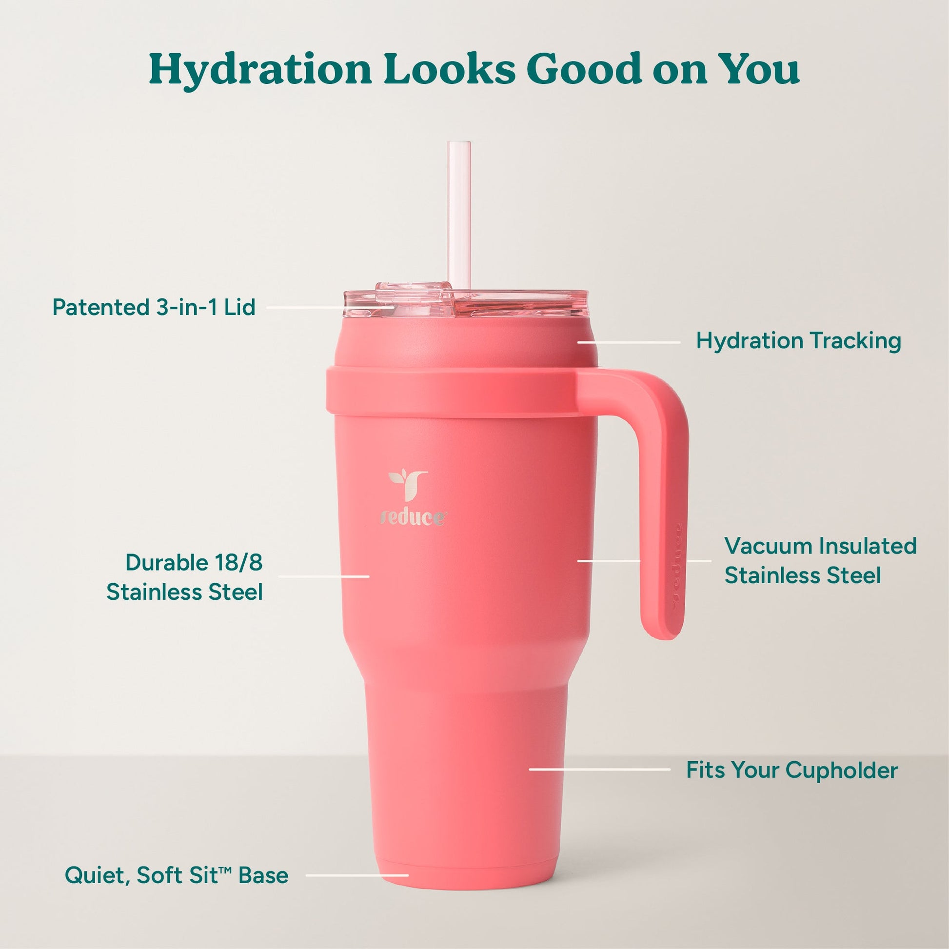 cold1-40-oz-f2 Cold1_40oz_Daiquiri_Infographic_2.jpg