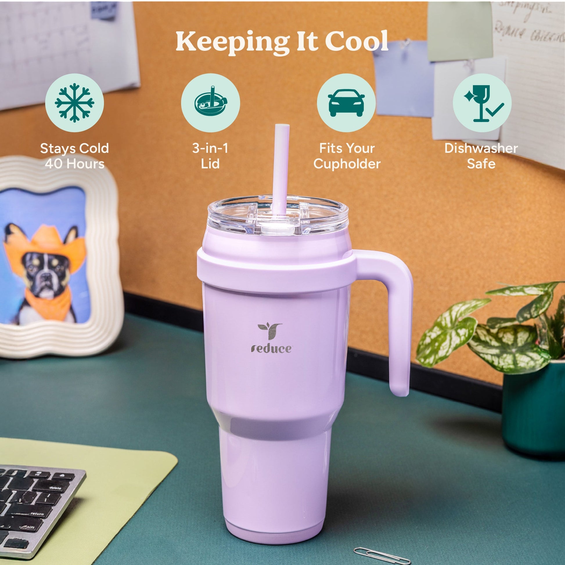 cold1-40-oz-f2 Cold1_40oz_PalmLeaf_Infographic_1.jpg