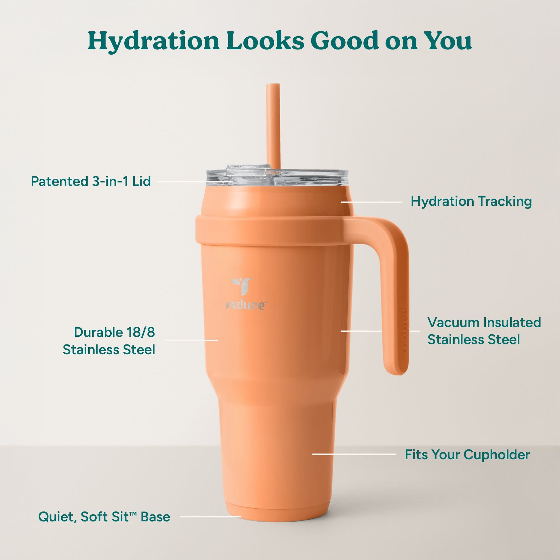 cold1-40-oz-f2 Cold1_40oz_Papaya_Infographic_2.jpg