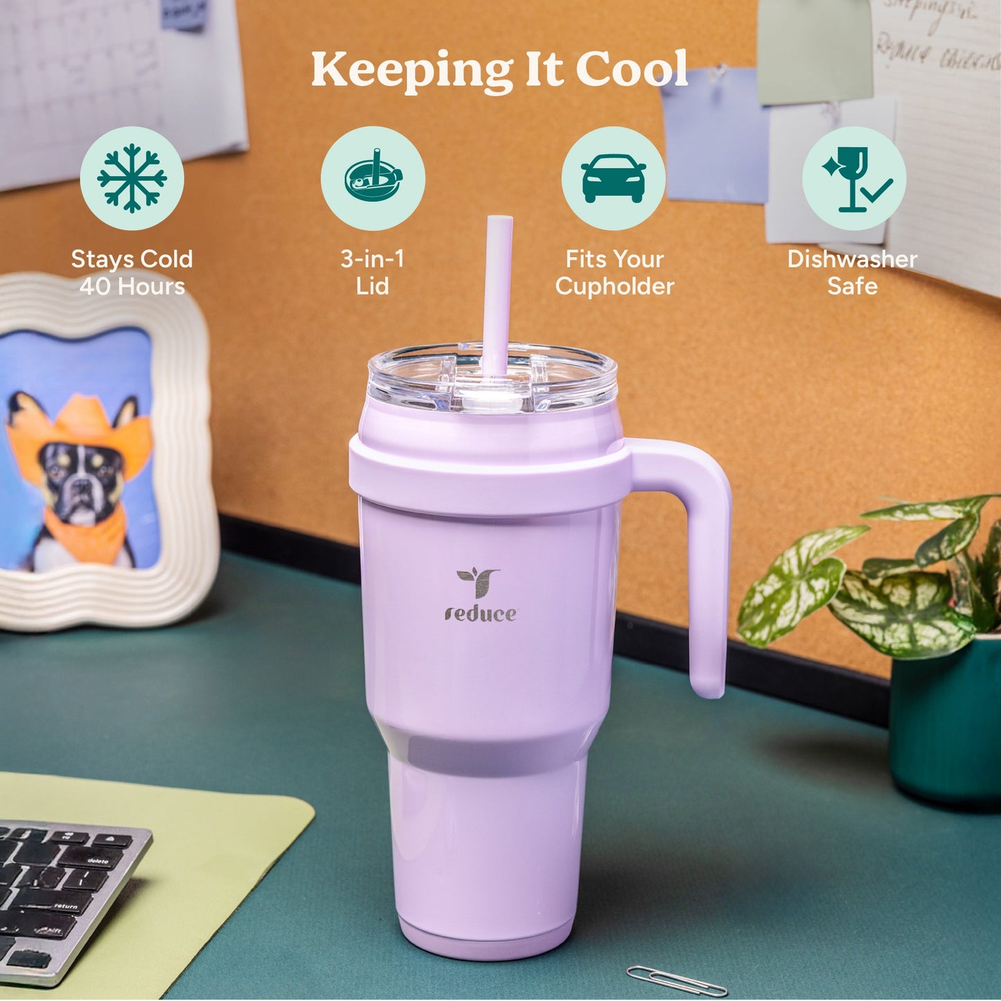 cold1-40-oz-f2 Cold1_40oz_Pineapple_Infographic_1.jpg